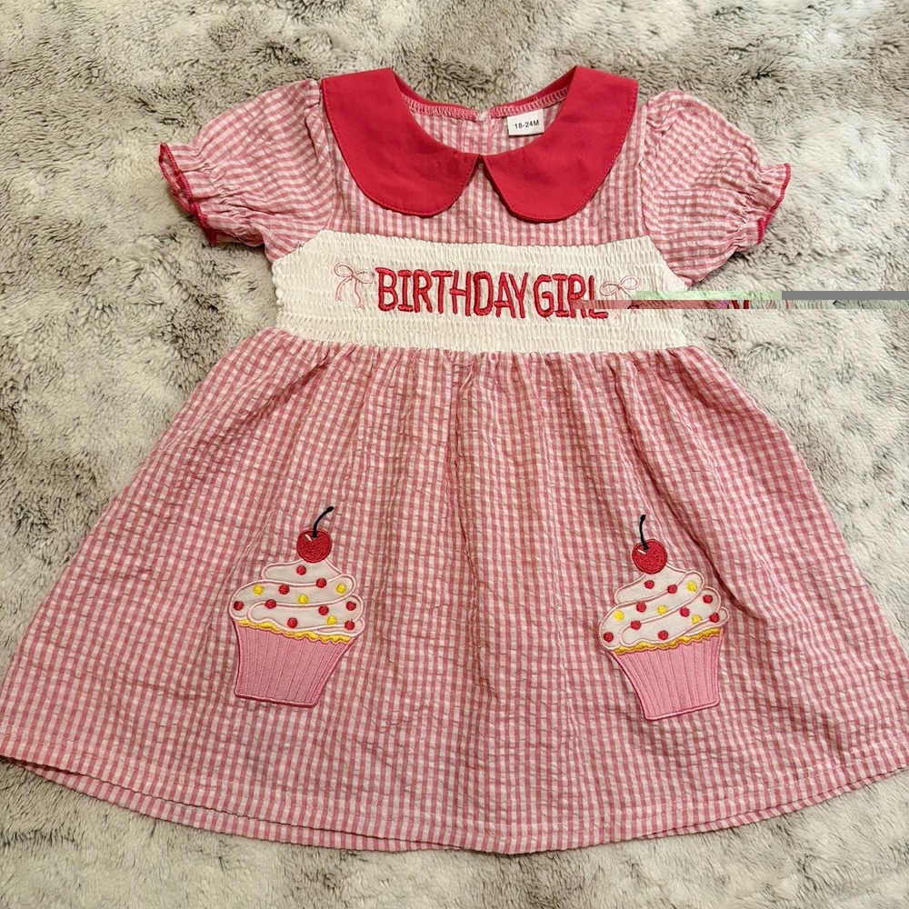 Pink Gingham Birthday Girl Dress With Cupcake Designs Size 18-24 Months